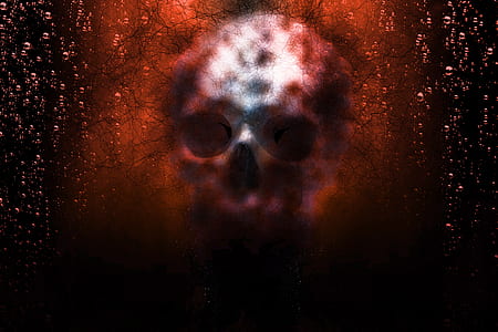 white and red skull digital wallpaper thumbnail
