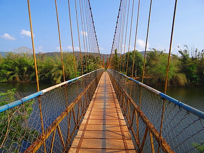 brown and black hanging bridge thumbnail