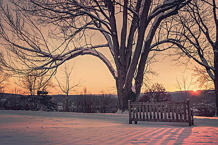 brown wooden bench on snow field during daytime thumbnail