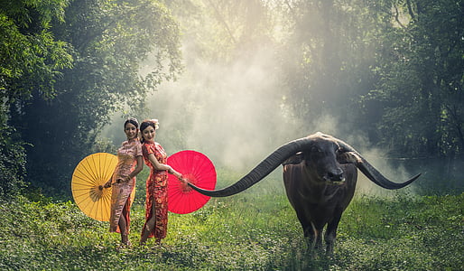 two women takes photo beside long-horned animal in forest at daytime thumbnail