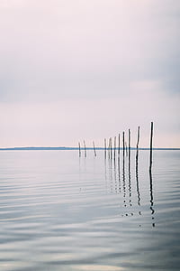 body of water with poles thumbnail