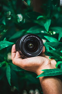 person holding Canon camera lens with leaves beside thumbnail