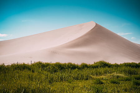 photography of white sands thumbnail