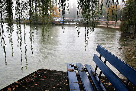 body of water near blue wooden bench thumbnail