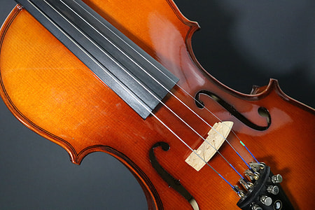 shallow focus photography of brown violin thumbnail