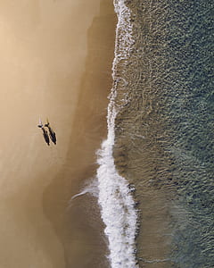 sea waves through shore thumbnail