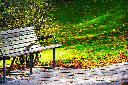 gray wooden bench during daytime thumbnail