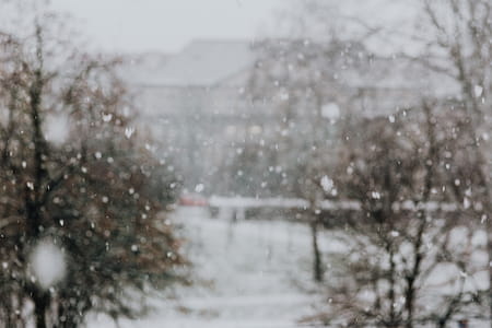 Snowy Street with Cars thumbnail