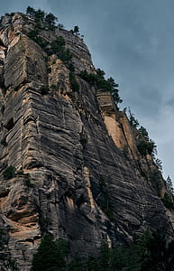 tree growing on rock formation low angle photography thumbnail