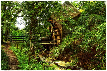 brown house near trees during daytime thumbnail