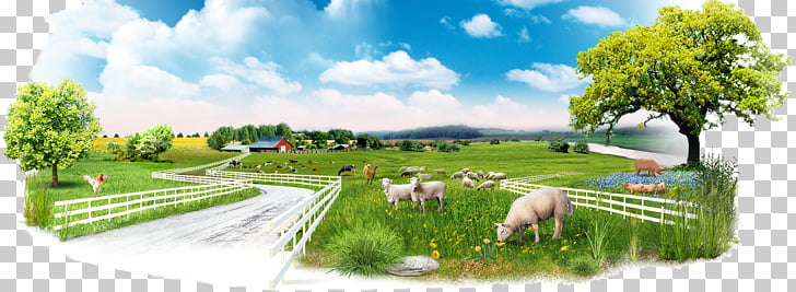 Mini Farming Self Sufficiency On 1 4 Acre Backyard Farming