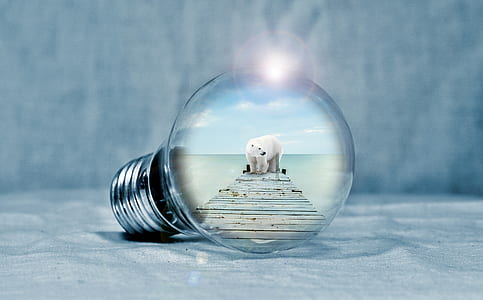 selective focus photography of polar bear on brown wooden bridge thumbnail