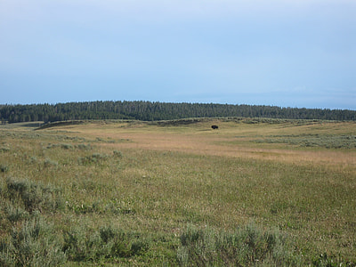 Yellowstone National Park, Wyoming thumbnail