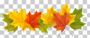 Spain Weather Season Spanish Winter, Transparent Fall Leaves , maple leaves illustration PNG clipart