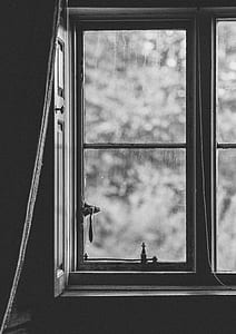 grayscale photography of window thumbnail