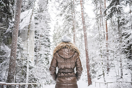 Girl in Winter Jacket Walking in Snowy Forest thumbnail