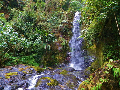 waterfalls on forest thumbnail