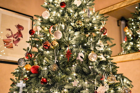 green Christmas tree photography thumbnail