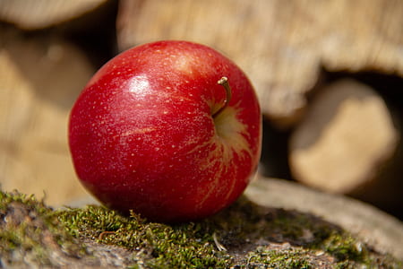 shallow focus photography of apple thumbnail