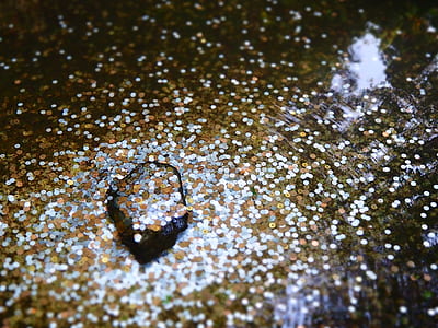 shallow focus photography of sequins thumbnail