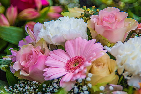 macro photography of flowers thumbnail