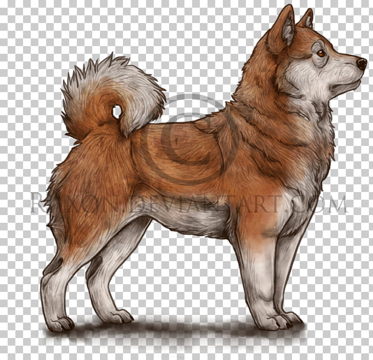 Canadian Eskimo Dog Shiba Inu Siberian Husky Akita West