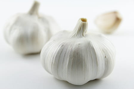 garlic in shallow focus lens thumbnail
