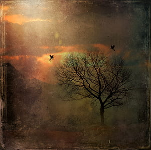 bare tree painting thumbnail