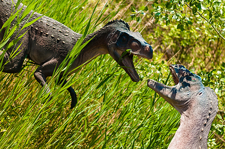 two fighting dinosaurs thumbnail