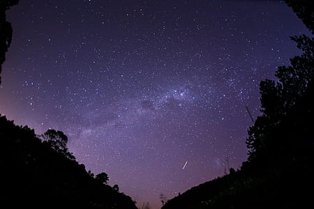 silhouette of trees under Milky Way photography thumbnail