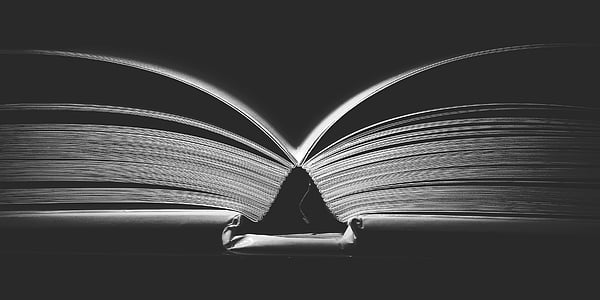 grayscale photography of book thumbnail