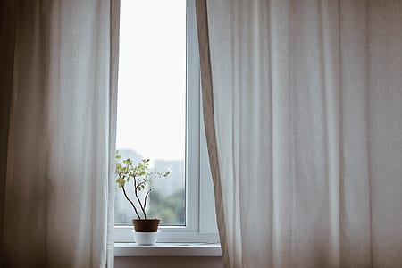 green potted plant placed on window pane between brown curtains thumbnail
