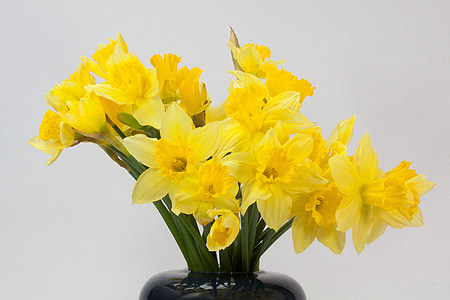 yellow petaled flowers in vase thumbnail