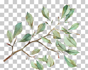 Watercolour Flowers Watercolor painting Leaf, Watercolor leaves, green leaf illustration PNG clipart