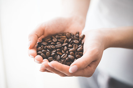Woman Holding Handful of Roasted Coffee Beans thumbnail