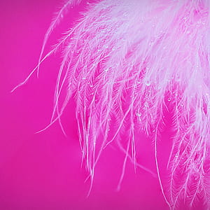 white ornament thumbnail