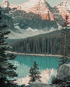 River Surrounded by Trees thumbnail