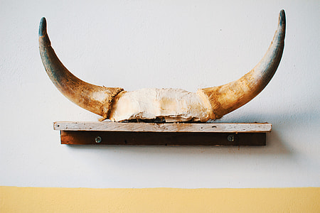 viking helm wall decor thumbnail