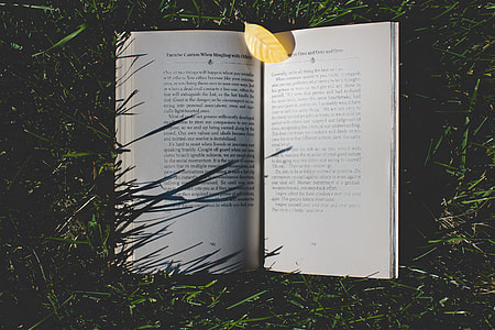 Open book resting in the grass thumbnail