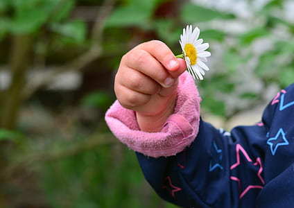 toddler holding white daisy thumbnail