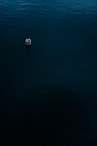 white fishing bait ball on body of water thumbnail