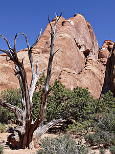Devil'S Garden, Arches Nationa Park thumbnail