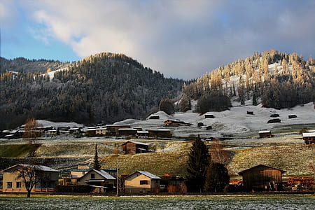 village houses surrounded by trees and mountains thumbnail
