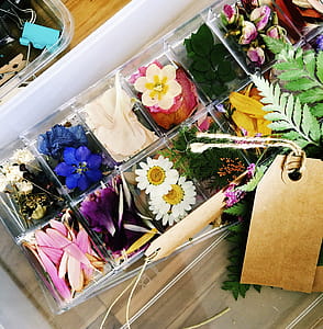 Assorted Flowers In Clear Glass Case thumbnail
