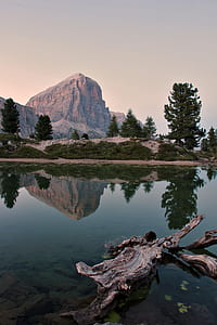 body of water surrounded of trees thumbnail
