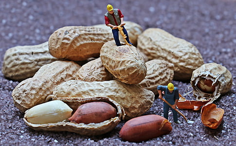two construction worker miniatures opening peanuts thumbnail