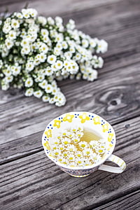 blooming white and yellow flowers near teacup with flowers inside thumbnail