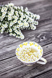 floral ceramic teacup with white flowers on wooden table thumbnail