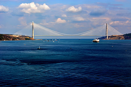 white cable-stayed bridge thumbnail