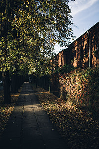 Old bricks buildings in Lodz, Poland thumbnail